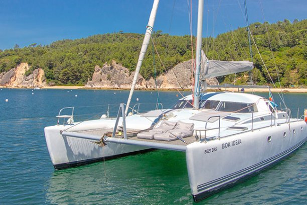 White catamaran anchored on calm water near a forested coastline.