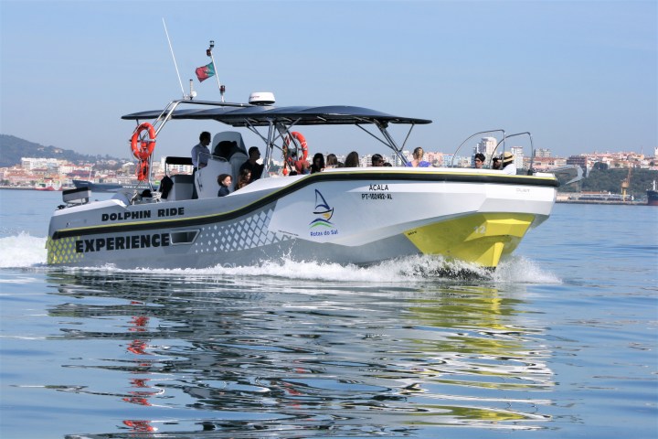 Tour boat with passengers on calm water, city skyline in background.