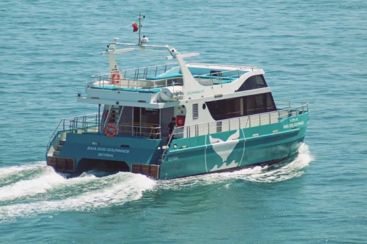 Turquoise and white boat sailing on calm sea waters.