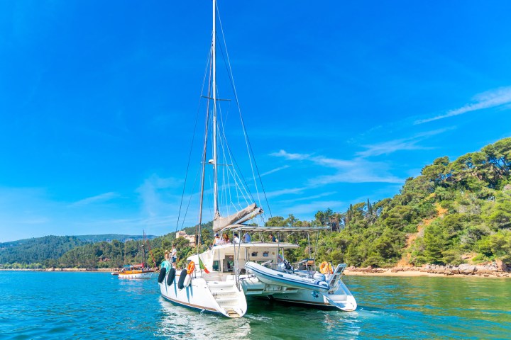 Catamaran sailing near a green forested shoreline under a clear blue sky.