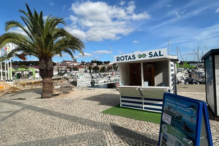 Cobblestone path by marina with palm tree and 'Rotas do Sal' booth under a blue sky.