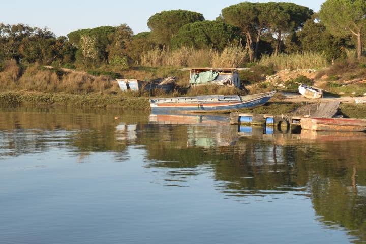 Small boats docked by a calm riverbank with trees and shrubs in the background.