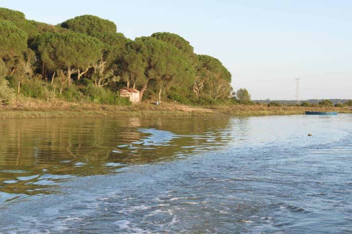Riverbank with trees and a small building; blue sky and calm water.