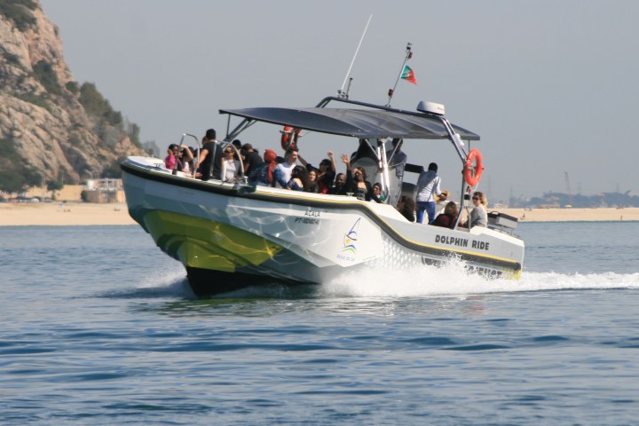 Boat with passengers on a dolphin ride, speeding across calm water near a beach.