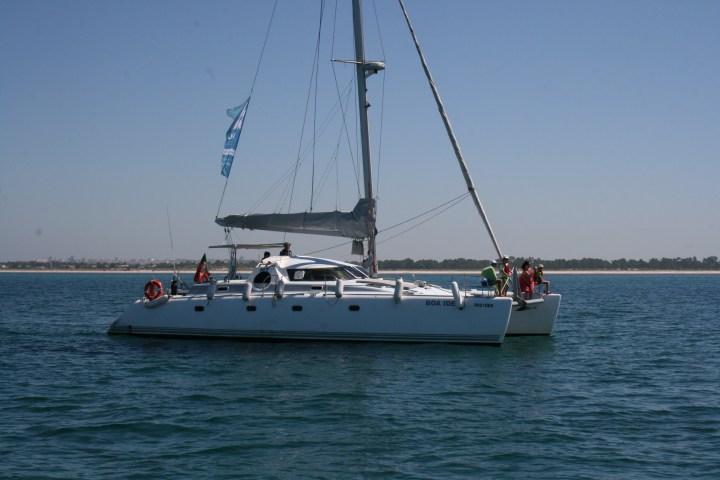 Catamaran sailing on calm water under a clear blue sky.