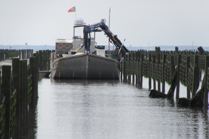 Boat with crane in narrow waterway between wooden posts.