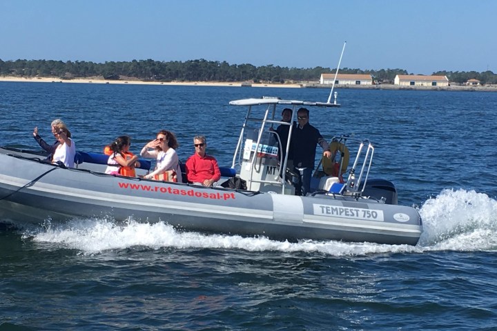 People enjoying a ride on a speedboat with a blue sky backdrop.