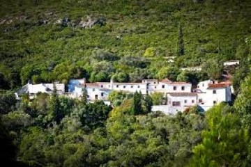 White buildings surrounded by dense greenery in a hilly landscape.