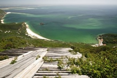 Aerial view of a green coastline with wooden planks in the foreground.
