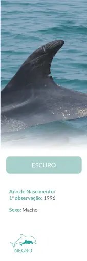 Dolphin fin in water with text about birth year and gender in Portuguese.