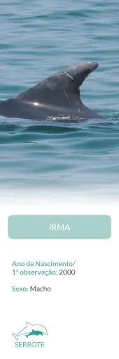 Dolphin fin in water with text below and a logo at bottom.