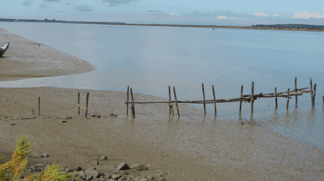 Wide riverbank with a wooden fence and a small boat on the muddy shore.