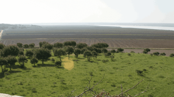 Panoramic view of fields, trees, and river under a clear sky.