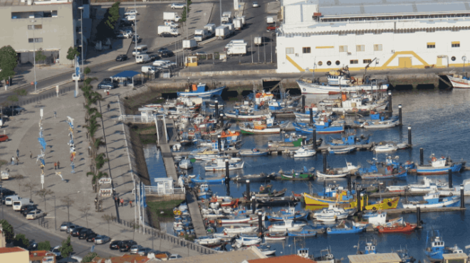 Aerial view of a port with numerous small boats docked.