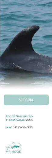 Dorsal fin of a dolphin in the ocean, labeled as Vitória with unknown sex and first seen in 2010.