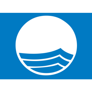 Blue flag with a white circle and wavy blue lines inside.