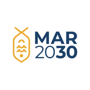 MAR 2030 logo with blue text and yellow abstract design.