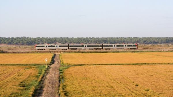Train passing through fields on a clear day with trees in the background.
