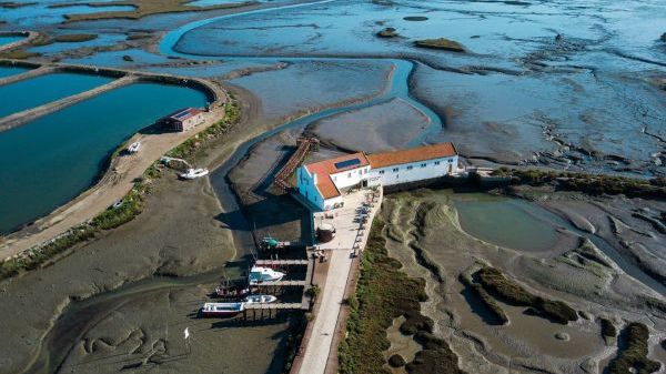 Aerial view of a coastal area with winding waterways and buildings
