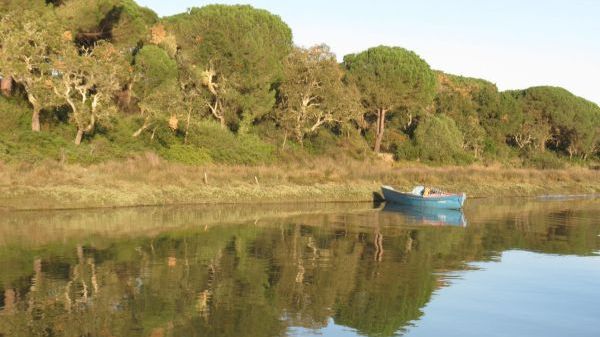 Small boat on calm river with trees reflected in water.